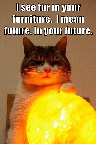 Cheezburger Image 9015870464