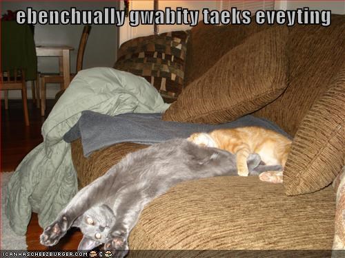 Cheezburger Image 9016057856