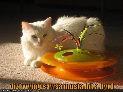 Cheezburger Image 9016058624