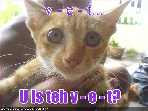 Cheezburger Image 9016064256