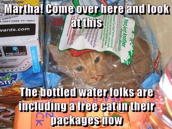 Cheezburger Image 9016066816