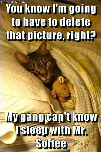 Cheezburger Image 9016087552