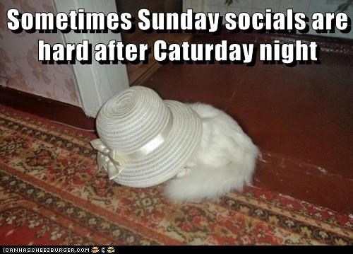 Cheezburger Image 9016140288