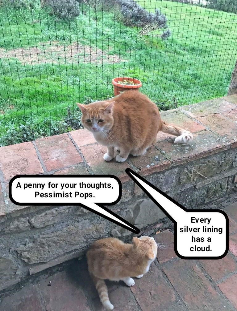 Cheezburger Image 9016186880