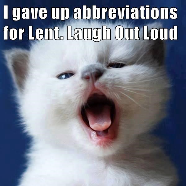 Cheezburger Image 9016191232