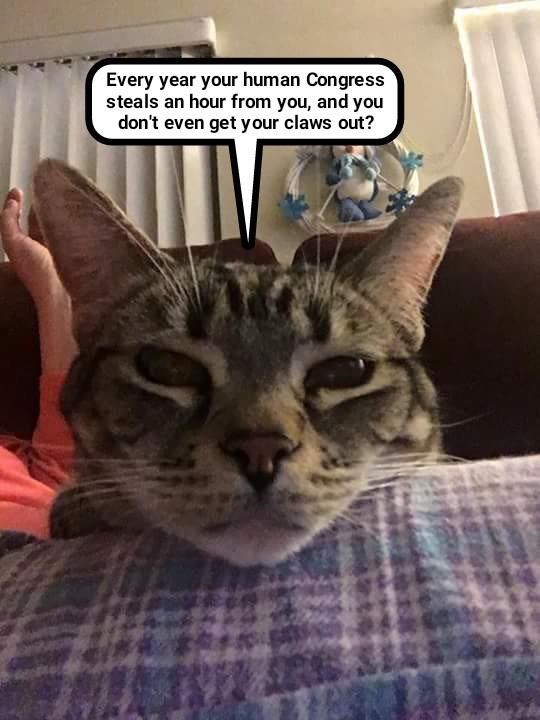 Cheezburger Image 9016240128