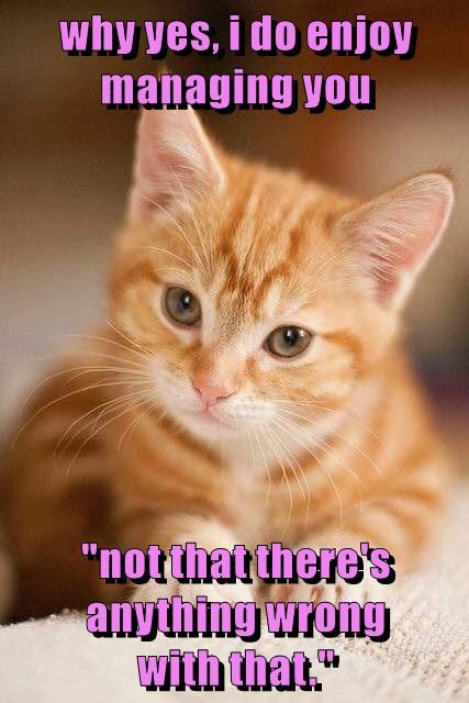 Cheezburger Image 9016243200