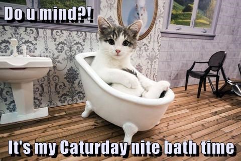 you cat bath mind do Caturday night caption - 9016368128
