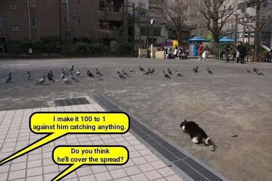 Cheezburger Image 9016871424