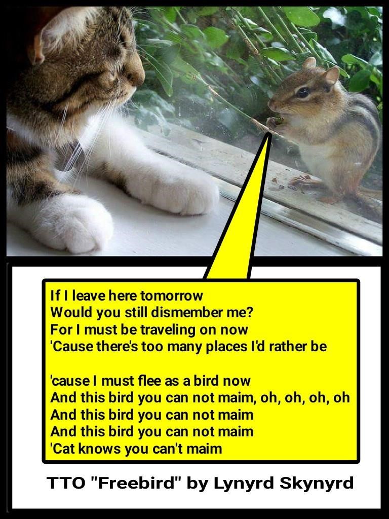 Cheezburger Image 9016873728