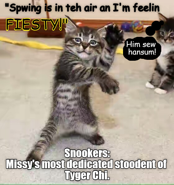 Cheezburger Image 9016882944