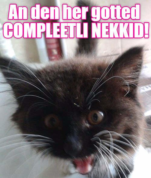 Cheezburger Image 9016949504