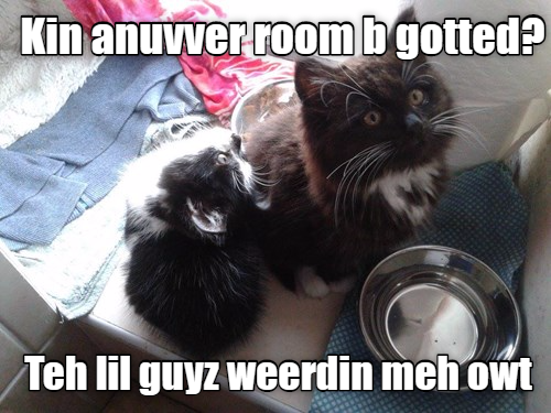 Cheezburger Image 9016950016