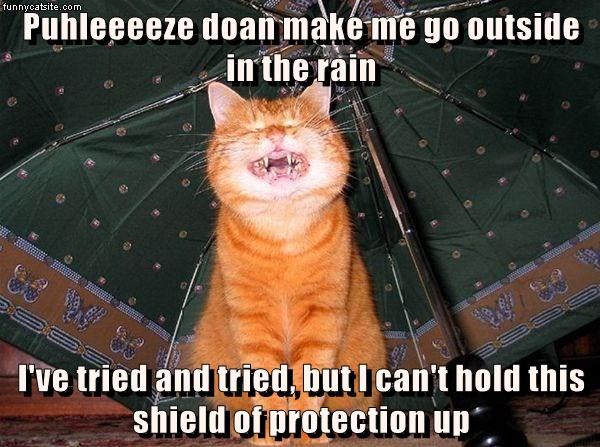 Cheezburger Image 9016951552