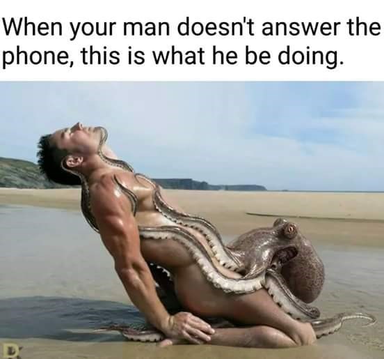 octopus-on-a-man-is-what-he-is-doing-when-he-doesnt-answer-the-phone