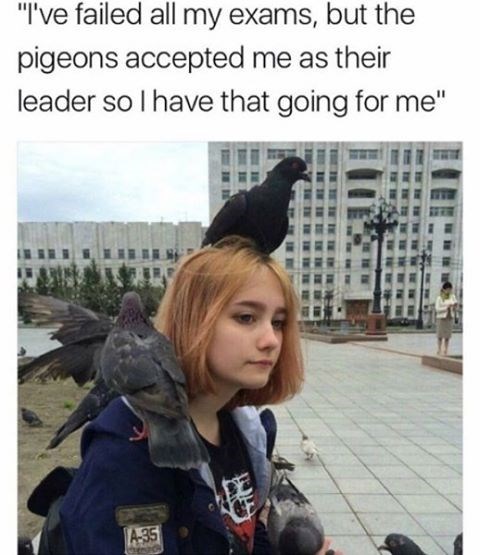 a-gray-sky-and-tons-of-pigeons-on-her-captioned-that-the-birds-have-accepted-me-as-their-leader