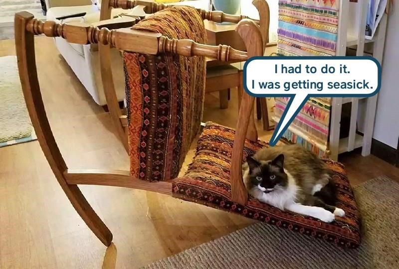 Cat meme of a kitty that rocked the rocking chair too much till it fell over, with caption having the cat blaming it on sea sickness.