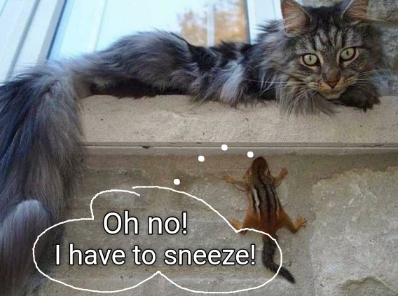 a funny cat meme of a chipmunck trying to hide from the cat but it needs to sneeze