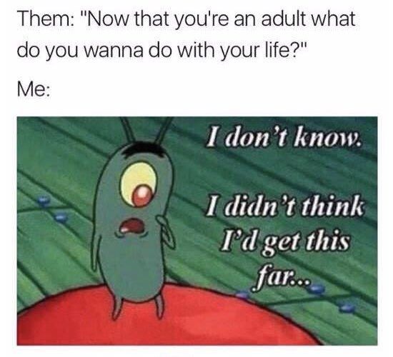 spongebob memes about not knowing what to do with your life