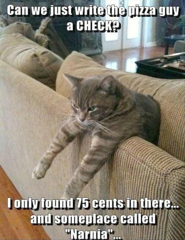 caturday - Cat - Can we just write the pizza guy а CНECКР Ionly found 75cents in there.. and someplace called "Narnia".