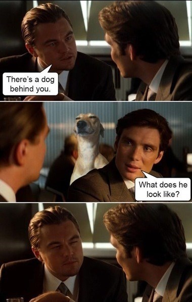 Leonardo Dicaprio tells Cillian Murphy in Inception that there's a dog behind him; Murphy asks what it looks like and Dicaprio mimes the dog's smug facial expression