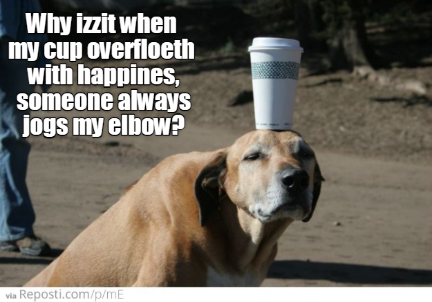 Cheezburger Image 9233146624