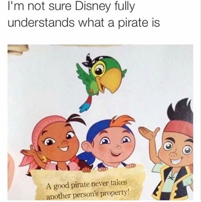 Caption that reads, "I'm not sure Disney fully understands what a pirate is" above a pic of Disney pirate cartoon characters holding up a sign that reads, "A good pirate never takes another person's property!"