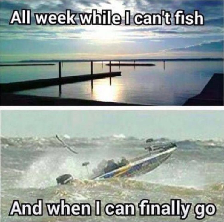 17 Stupid Fishing Memes That Aren t Up For Da Bait Memebase Funny Memes