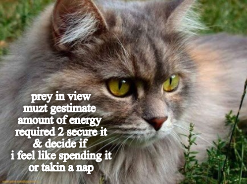 Cheezburger Image 9323536384