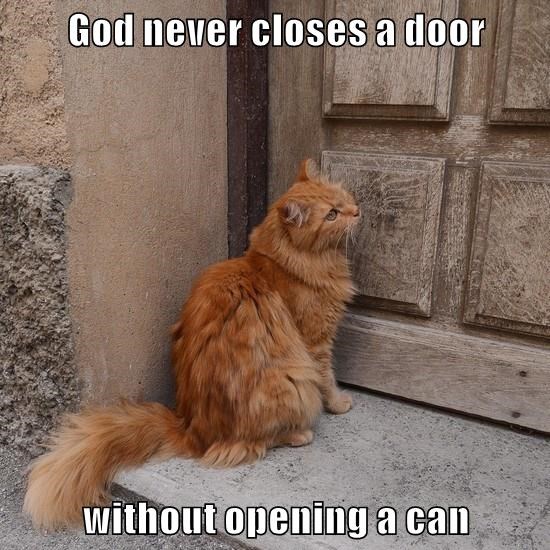 Cheezburger Image 9327026944