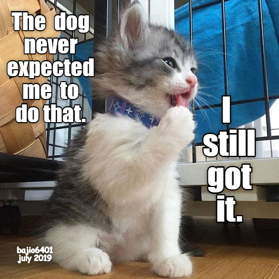 Cheezburger Image 9328609792