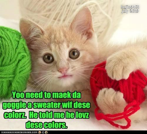 Cheezburger Image 9330782208