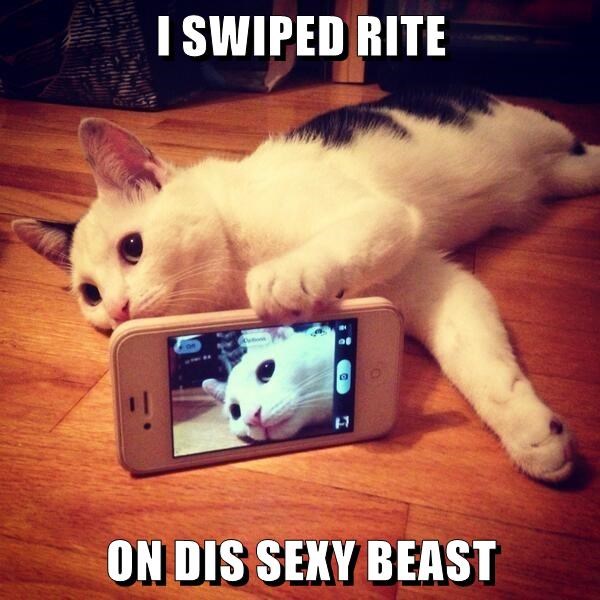 Cheezburger Image 9330960896