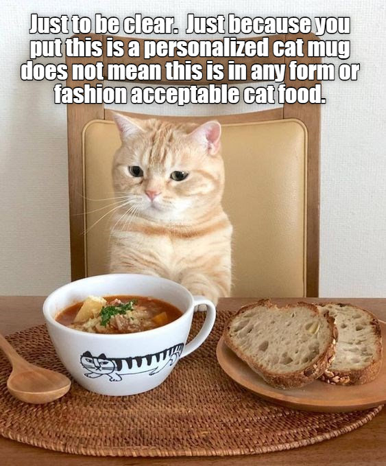 Cheezburger Image 9331341568