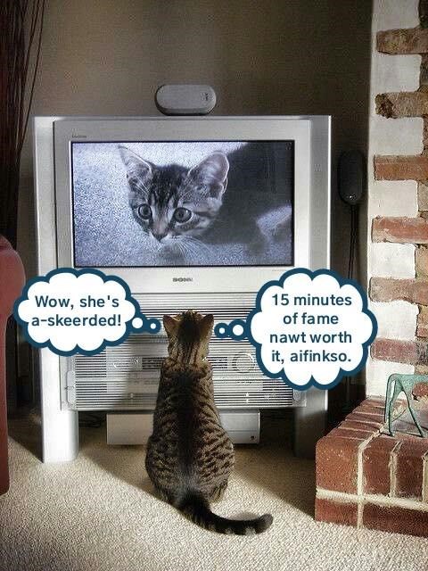 Cheezburger Image 9350552320