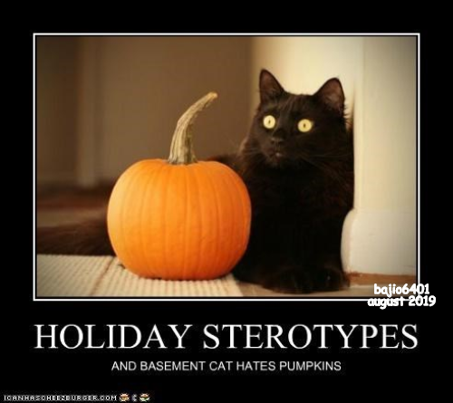 Cheezburger Image 9350893568