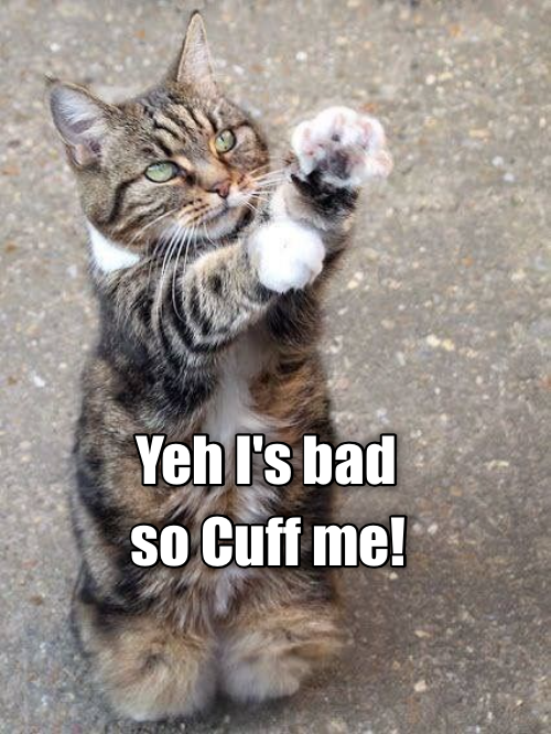 Cheezburger Image 9351777536