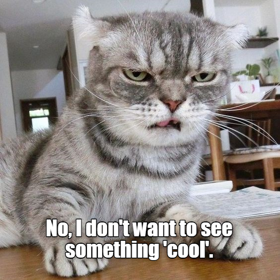 Cheezburger Image 9374428672