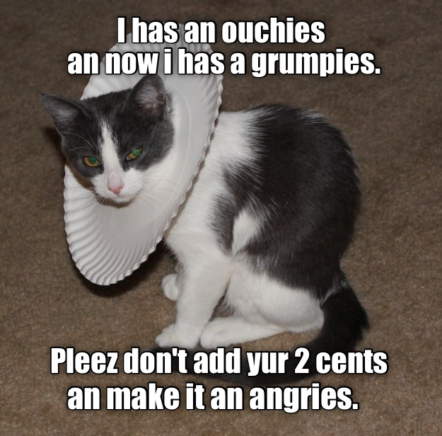 Cheezburger Image 9376862464