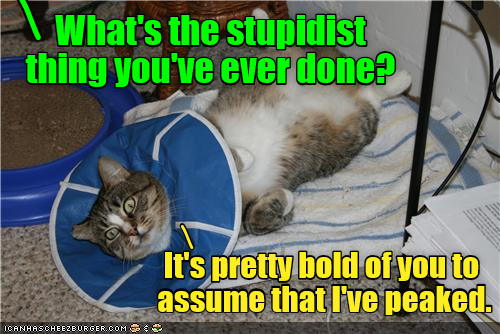 Cheezburger Image 9383093248