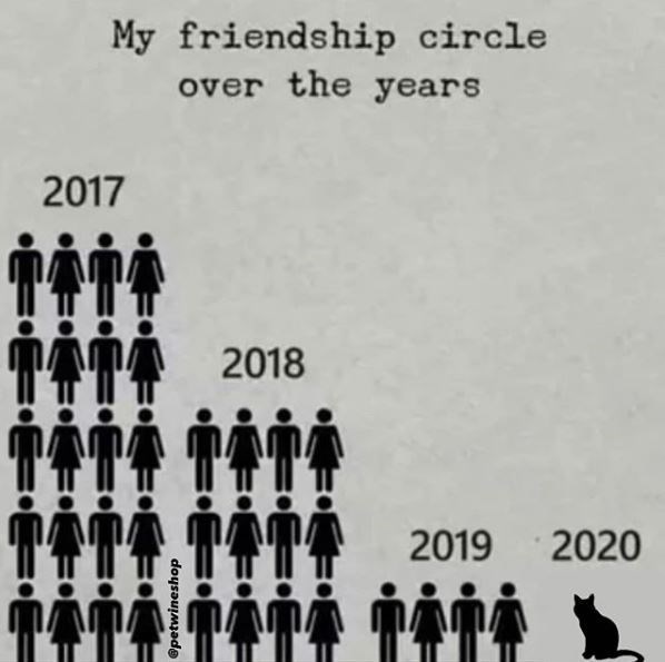 Cats Statistics - 9542057216