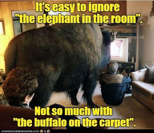 Cheezburger Image 9671207424