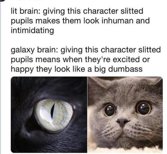 Cerebro iluminado por un gato: darle a este personaje pupilas rasgadas lo hace parecer inhumano e intimidante cerebro galáctico: darle a este personaje pupilas rasgadas significa que cuando está emocionado o feliz parece un gran imbécil