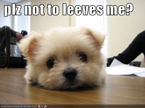 plz not to leeves me?