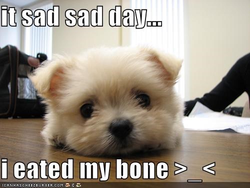 it sad sad day...  i eated my bone >_<