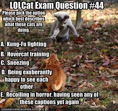 LOLCat Exam Question #44