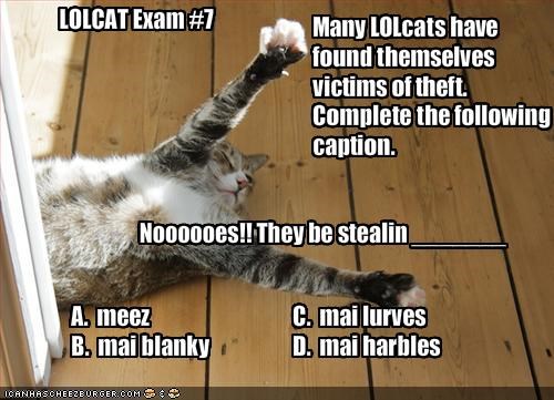 LOLCAT Exam #7