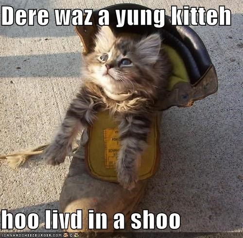 Dere waz a yung kitteh  hoo livd in a shoo