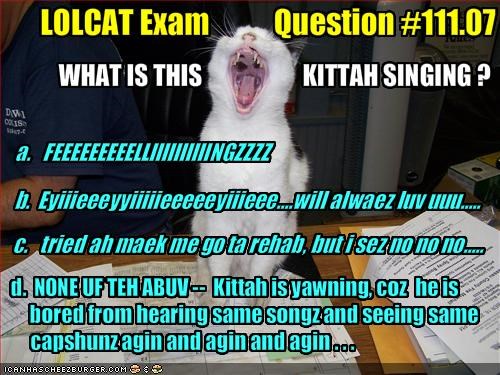 LOLCAT Exam           Question #111.07