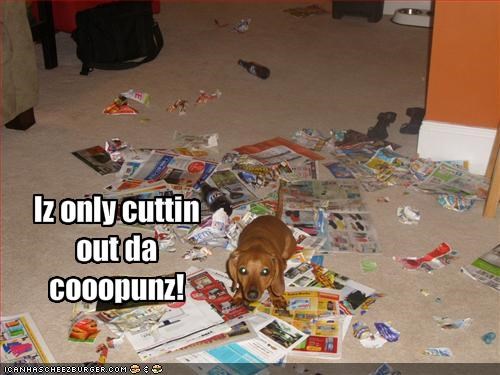 Iz only cuttinout dacooopunz!
